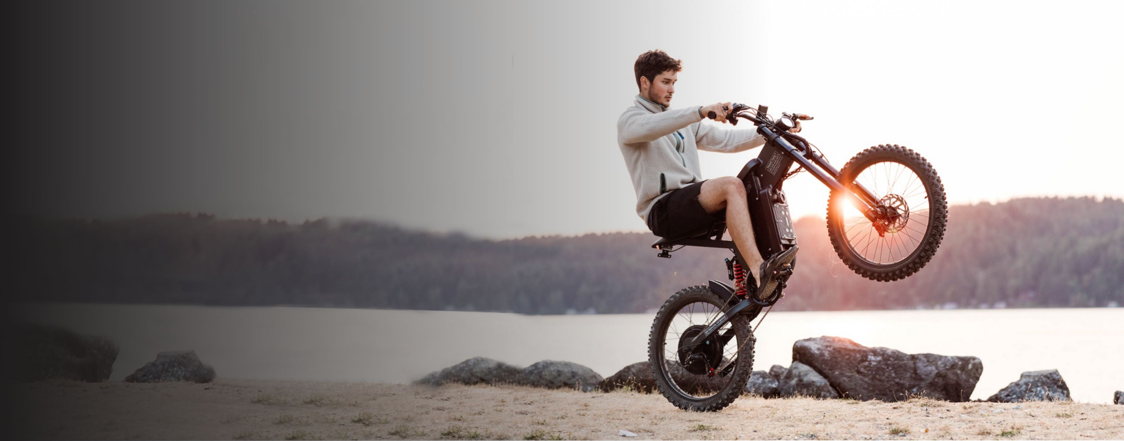 Freego X2 Dirt E-Bike Desktop