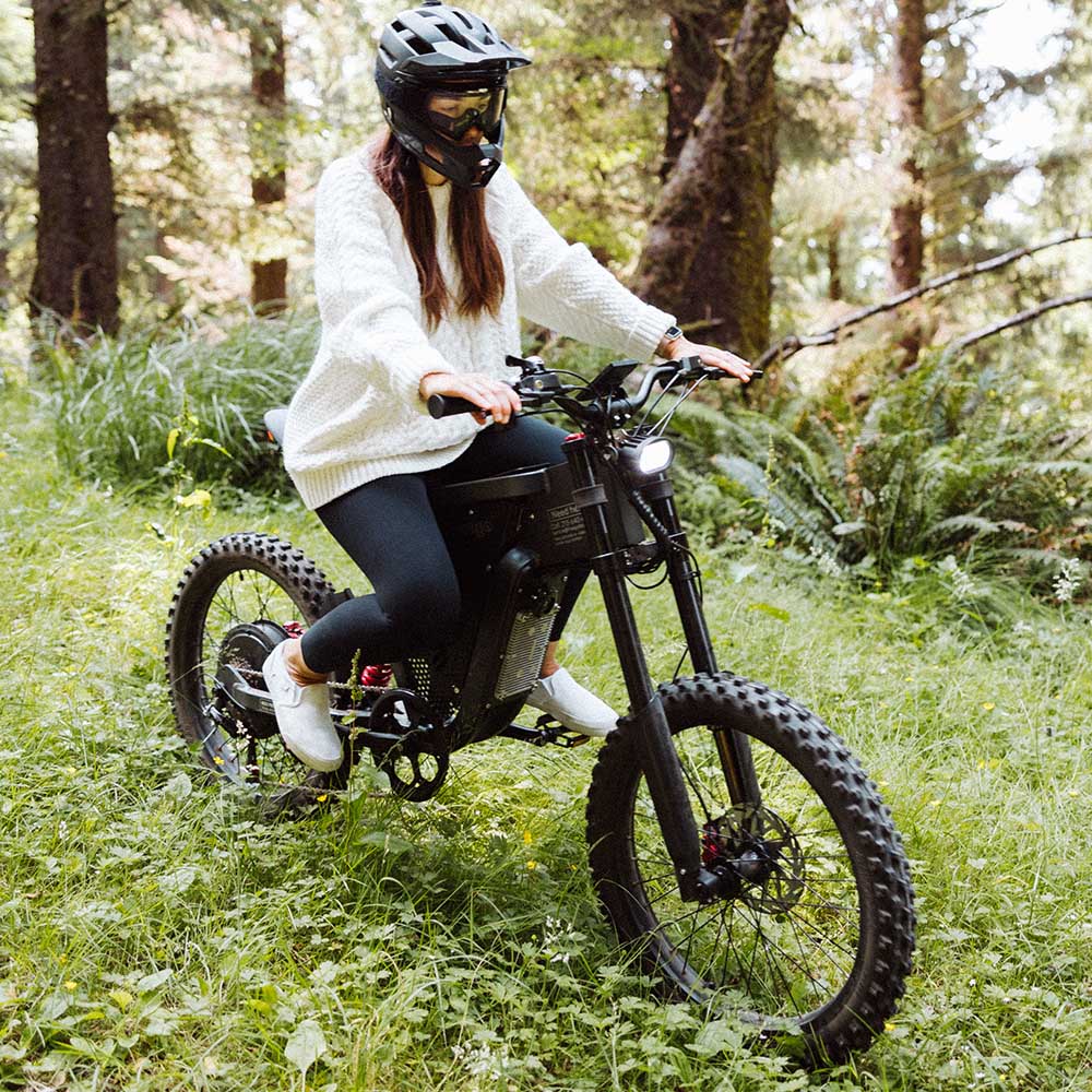 x2 bicycle adult